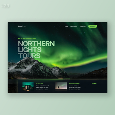 Arctic Tours Web UI Design Concept design figma ui website
