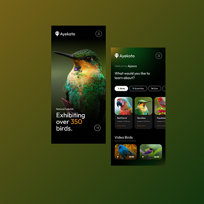 Ayekoto Bird App app design motion graphics ui ux