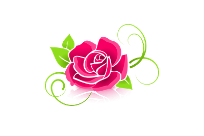 rose patern branding design graphic design illustration logo tshirt