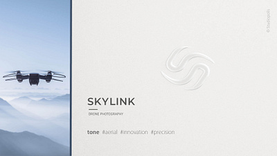 Skylink aerial brand design branding design drone graphic design innovation logo logo design photogrpahy precision symbol