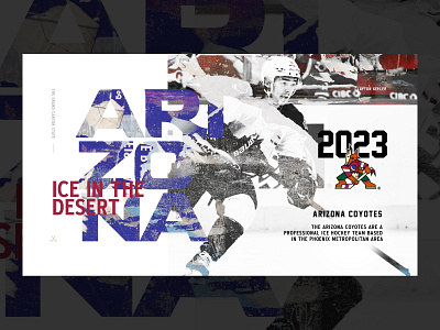 Visual Hockey Templates app grid grid layout hockey mockup presentation sports ui visual web design