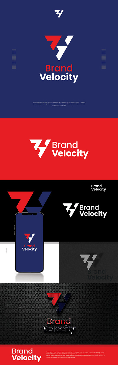 Brand Velocity branding graphic design logo ui