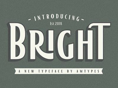 Bright Display Font alternates bright display font classic display ligatures opentype sans serif sign vintage