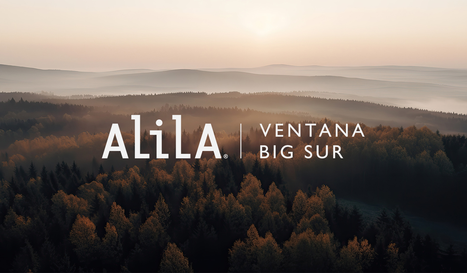 Alila Ventana Big Sur by Diana Donaldson | Be Indigo on Dribbble