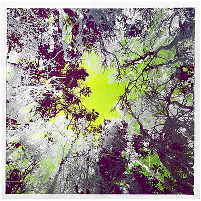 Into The Wild screen print. illustration metallic nature screenprint tree wild