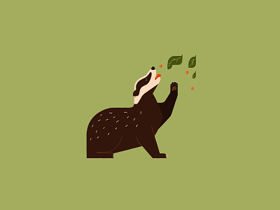 Badger 🦡 badger editorial flat graphic design illustration nature procreate wildlife