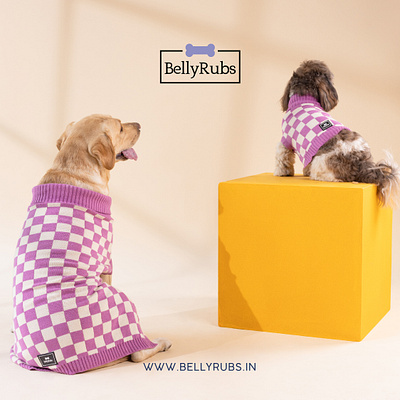 pet accessories online