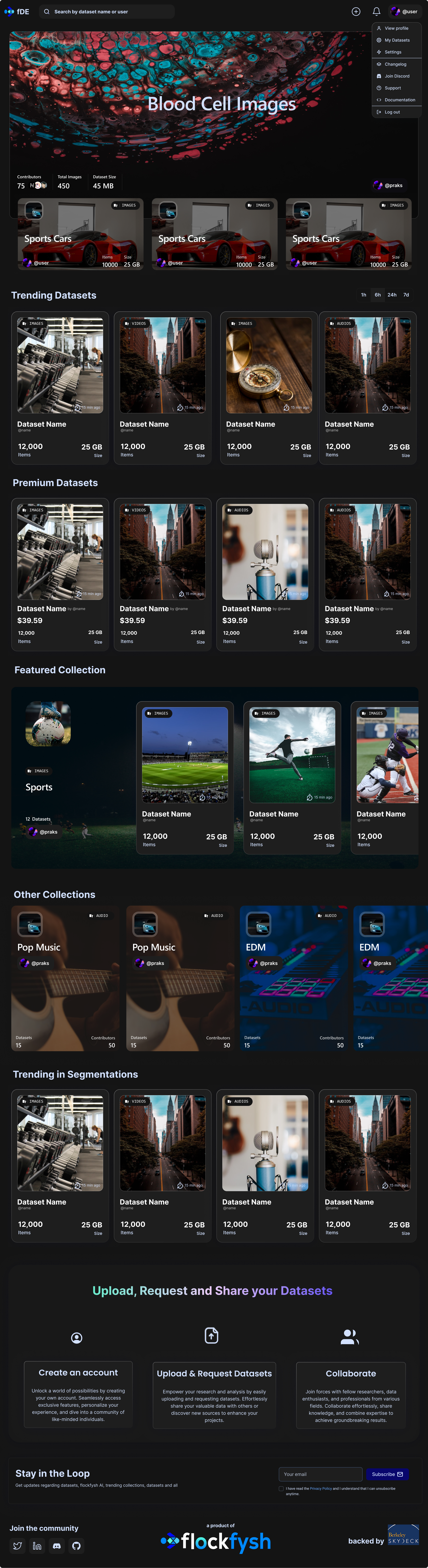 Flockfysh Data Exchange design typography ui ux
