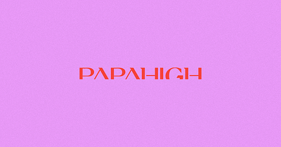 PAPAHIGH | 03 brand brand design branding branding concept branding design design graphic design illustration logo