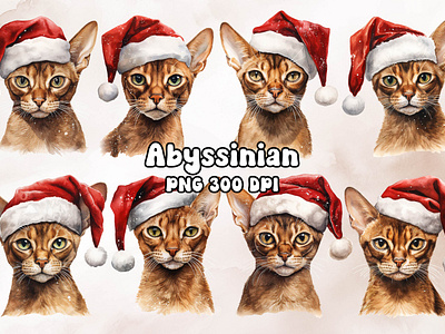 Abyssinian Cat Wearing a Santa Hat abyssinian animal cat design