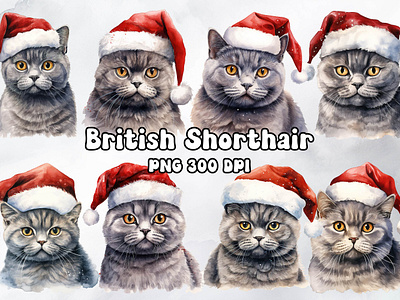 British Shorthair Cat Wearing a Santa Hat animal british shorthair cat design