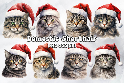 Domestic Shorthair Cat Wearing a Santa Hat animal cat design domestic shorthair