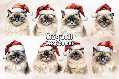 Ragdoll Cat Wearing a Santa Hat animal cat design ragdoll