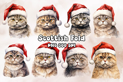 Scottish Fold Cat Wearing a Santa Hat animal cat design scottish fold