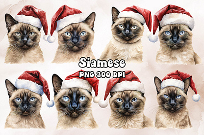 Siamese Cat Wearing a Santa Hat animal cat design siamese