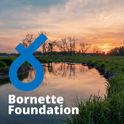Bornette - Foundation affiches branding communication design foundation graphic design illustration logo ngo posters public relation water