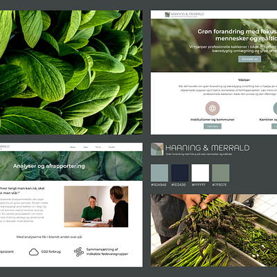 Food Consulting | Website consulting design ecology figma food green hi fi nature ui web website