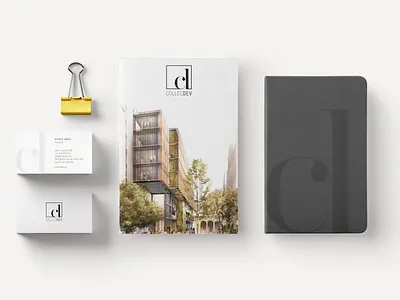 Branding - CollecDev brand identity branding business cards graphic design logo visual design website