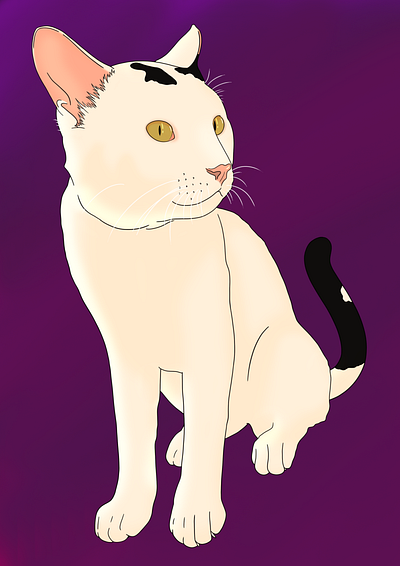Illustration of a cat design graphic design illustration