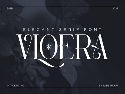 Vloera Elegant Serif Font branding design display fashion font ligature lowercase serif typeface typography uppercase vintage