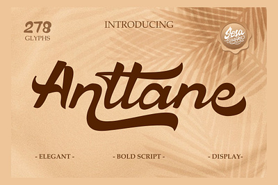 Anttane Bold Script bold branding calligraphy design fonts graphic design handlettering lettering logo logotype luxury retro retro font script signature vintage