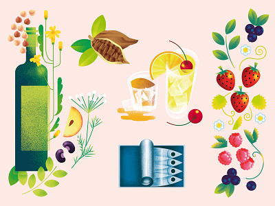 Illustrations for Biedronka food illustration ilustracja cyfrowa polish illustration