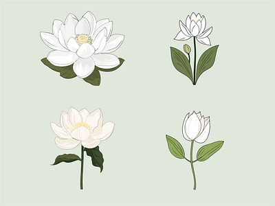 Lotus Serenity - Ethereal Illustration flower flower illustration illustration lotus lotus illustration