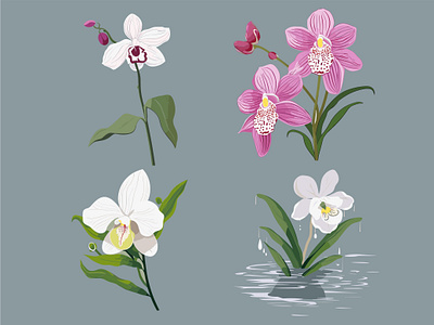 Elegant Orchid - Graceful Floral Illustration floral illustration illustration orchid