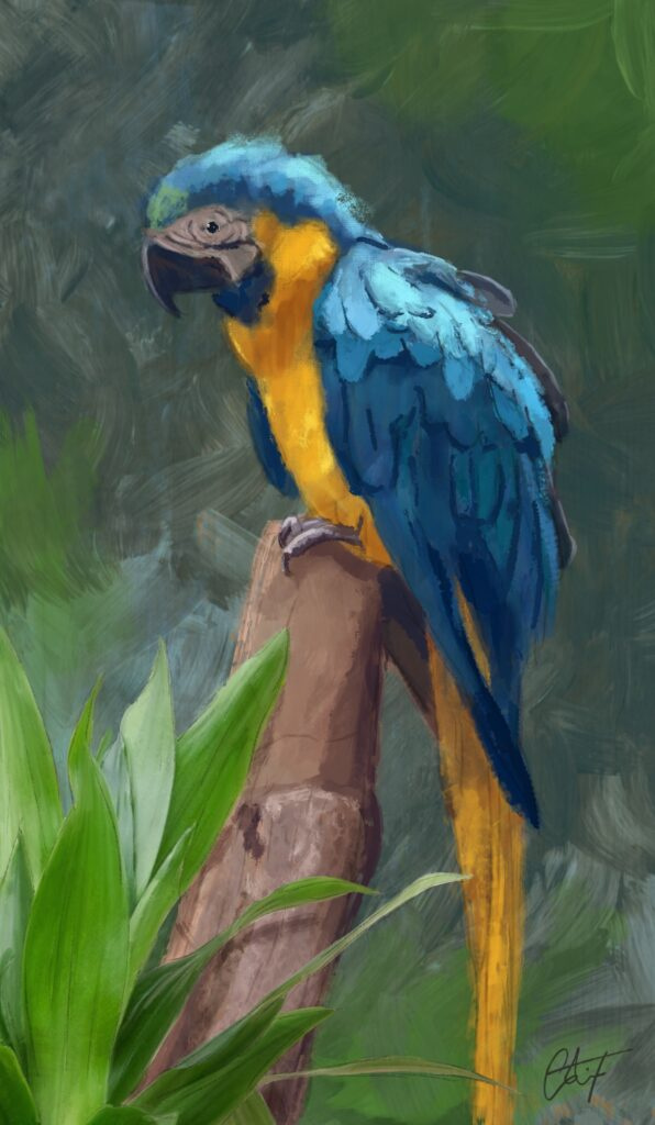 Digital painting of a parrot animal art animal painting digital art digital painting parrot procreate procreate painting