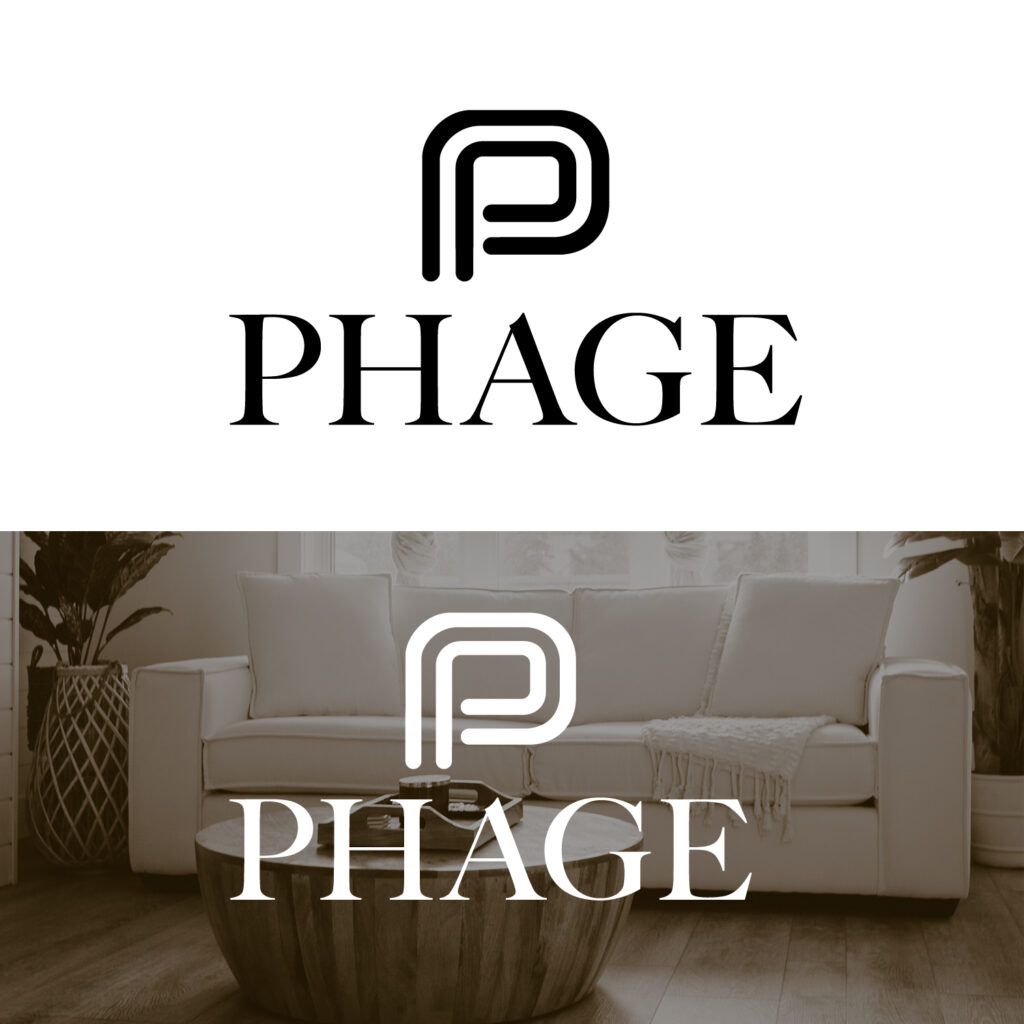 Logo design concept for a furniture store branding graphic design graphic designer illustrator logo logo design logo designer vector