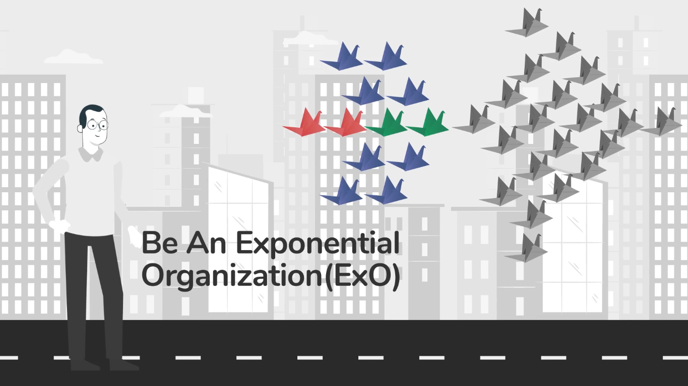 Animation For Whats Next Global animation branding graphic design motion graphics