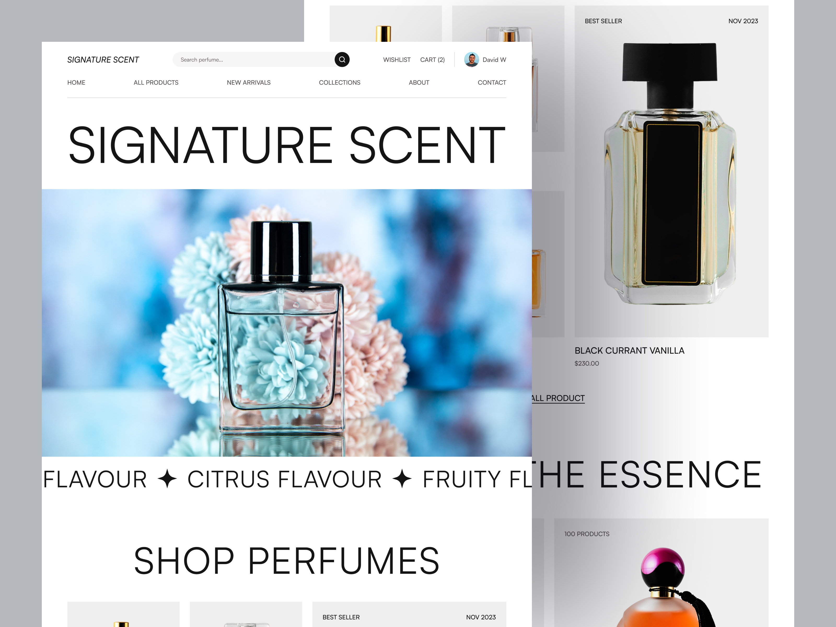 Example of E Commerce Landing Page Design