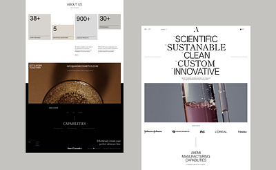AKEMI Cosmetics Branding & Web branding design graphic design illustration logo typography ui ux vector webdesign