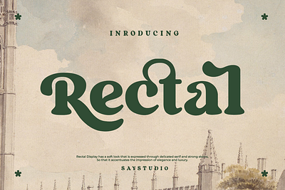 Rectal - Modern Retro Serif branding font graphic design groovy font modern font retro font serif serif font type typeface