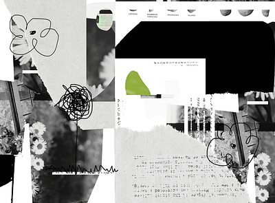 resilent daisies collage cut paper design graphic design illustration typograhy
