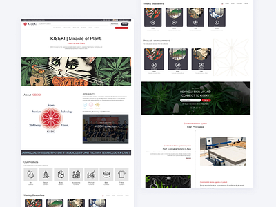 KISEKI - Figma Web Design and Wordpress Development