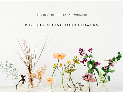 If I Made x Sarah Winward — Part 6 art direction branding course design digital digitalcourse floraldesign flowers graphic design layout logo typography weddings