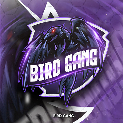 Bird Gang / Slater Slay Streamer Brand Identity animal animation brand branding design graphic design identity illustration logo raven stream streamer vector