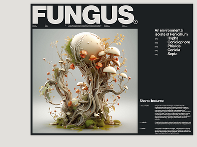 FUNGUS — 3 3d art direction design graphic design layout typography website