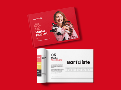 Barfiste barfiste brand book branding graphic design logo ui web web design