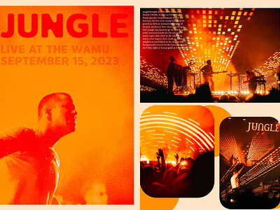 Jungle - shot live in Seattle - photojournalism design graphic design journalism media music music photography photography photojounalism print print design writing