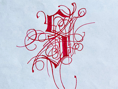 Calligraphic Red Letter S art calligraphy calligraphy art design drawing elegant ink handcrafted letters handwriting illustration ink mastery lettering logo pen and ink pen and paper penmanship s scribe timeless script typographic art typography