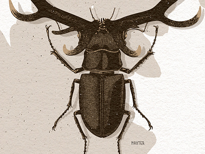 Beetle beetle bug cartooning deer digital art digital graphic digital illustration horns illustration maxter maxter illustration vector vector drawing vector graphic vector illustration