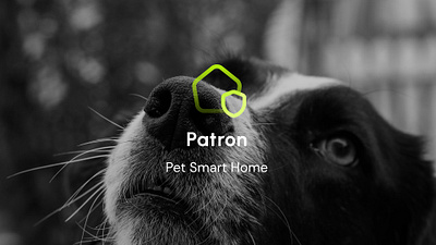 Pet Smart Home design interaction ui uiux