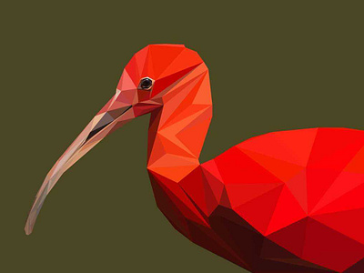 Scarlet Ibis artisticgeometry colorfulgeometry digitalart geometricart graphicdesign lowpoly lowpolydesign minimalistart polygonart polygons triangulation vectorart