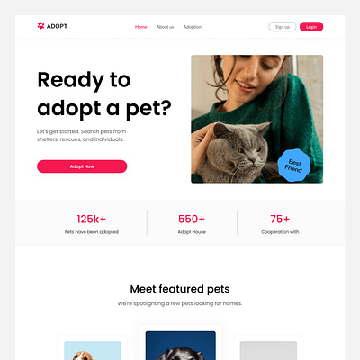 Adopt Web adopt animal pet ui uiux ux website