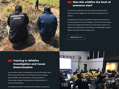 Web Design Completed for Wildfire Consultancy consultancywebdesign web design webproject