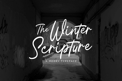A Merry Font The Winter Scripture candy cane