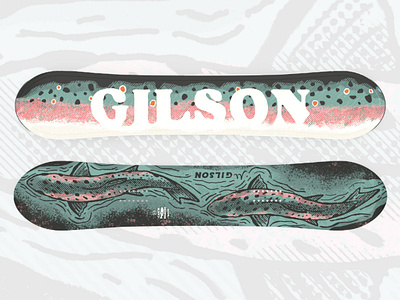 HDC x GILSON "Catch & Release" Snowboard fish fishing fly fishing gilson illustration nature rainbow trout snowboard stream trout