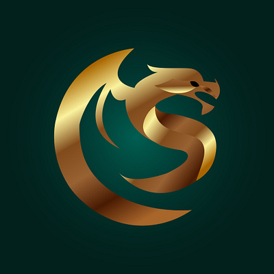 dragon logo design graphic design illustration vector